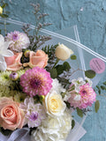 Sweet blooming day