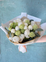 Peony pom pom