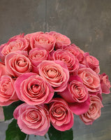 2 dozen roses (pink)