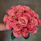 2 dozen roses (pink)