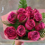 A dozen roses with magenta color