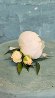 Peony boutonniere