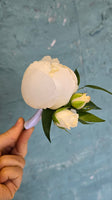 Peony boutonniere