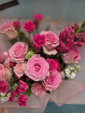 Blush Romance Rose