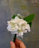 All white wedding bouquet