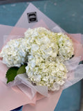 Hydrangea Bouquet