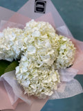Hydrangea Bouquet