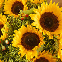 Summer Field